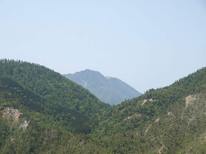 P5278366