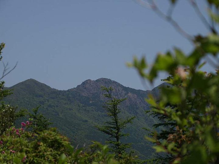 P5278449