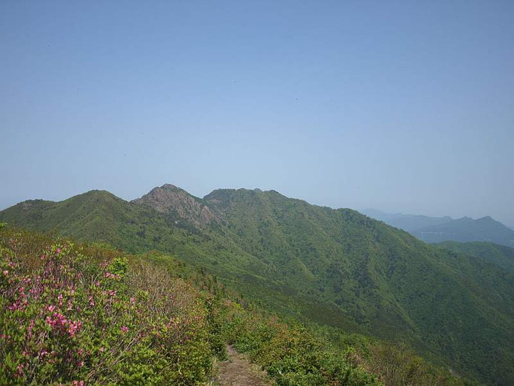 P5278591