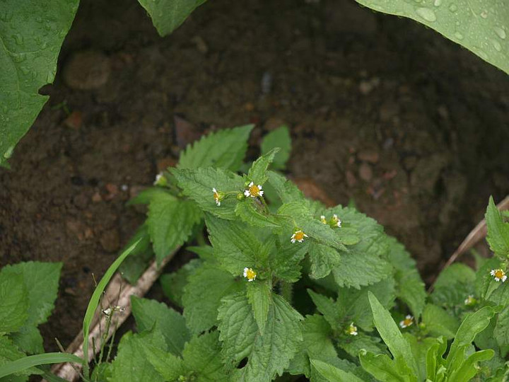 P6029101