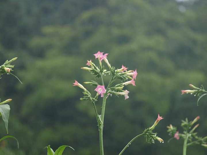 P6029166