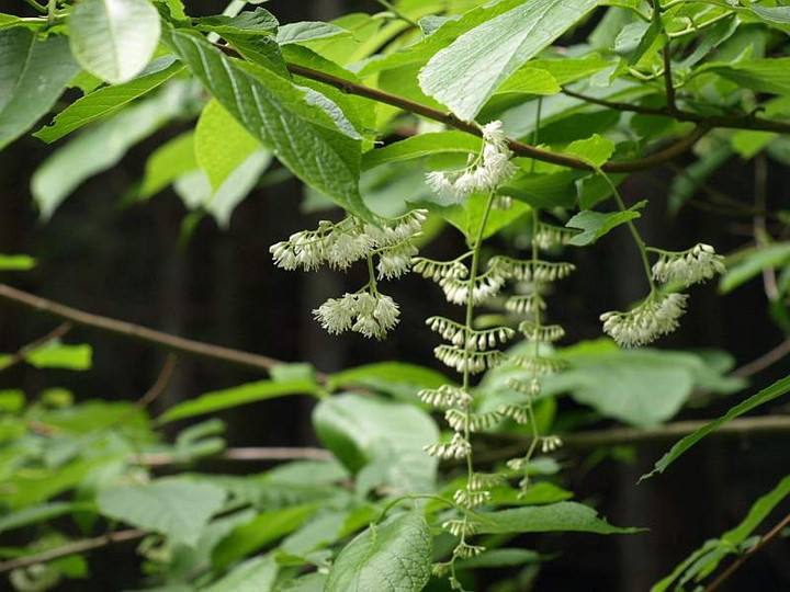 P6080117