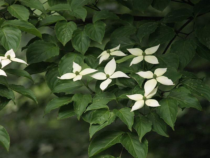 P6080220