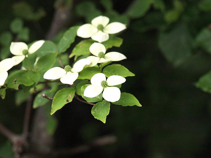P6080240