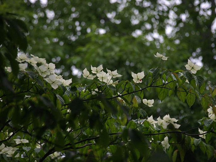 P6080251