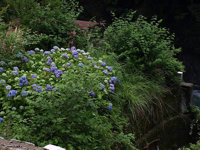 P6069302