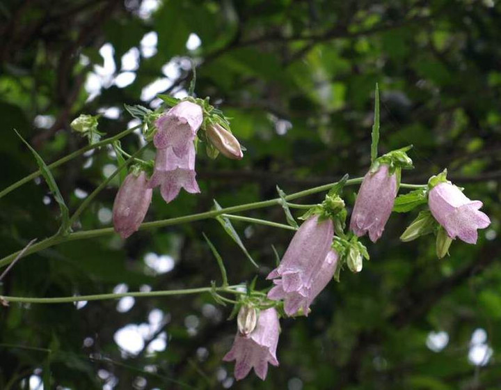 P6069326