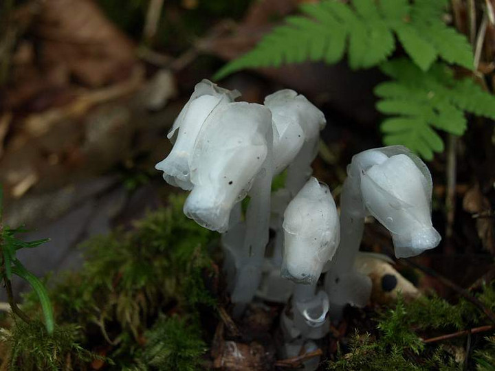 P6069526_2