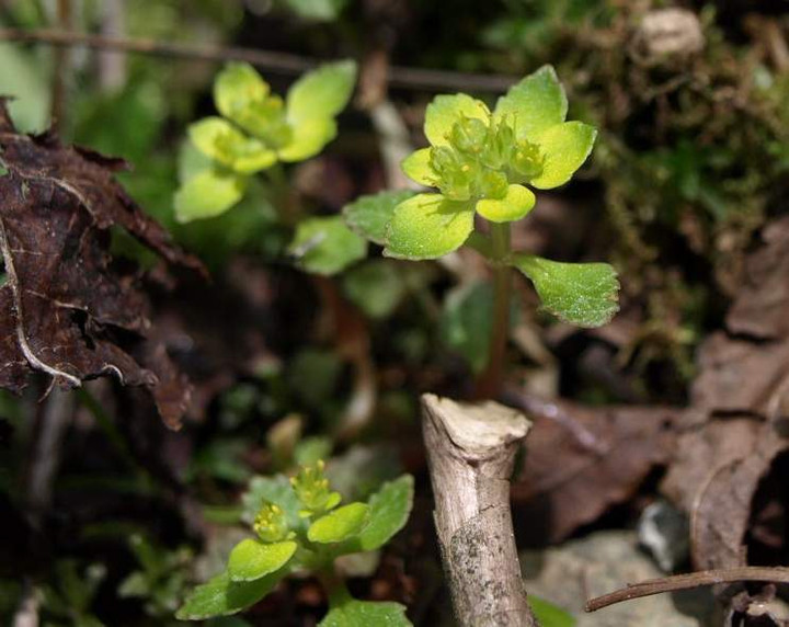 P6069577