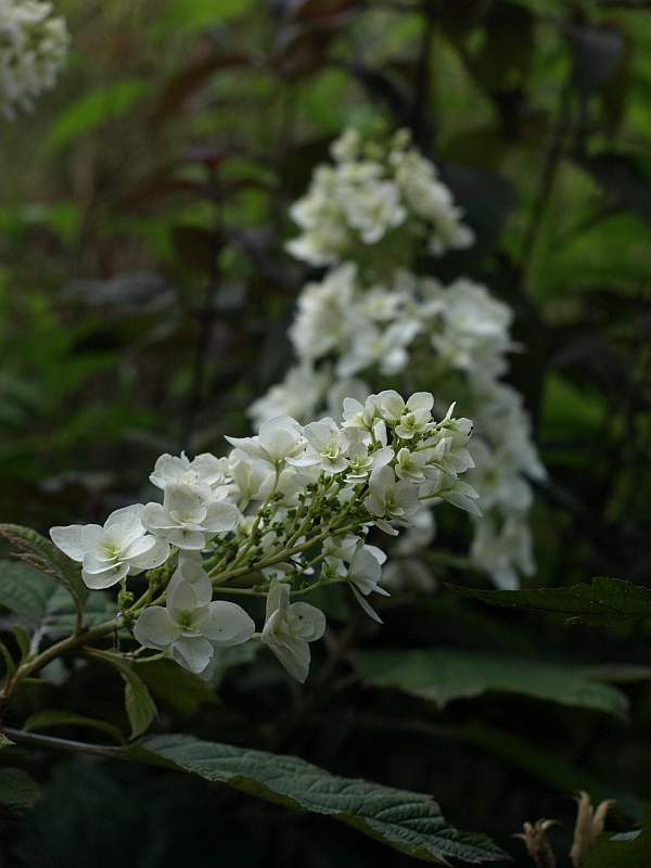 P6120776