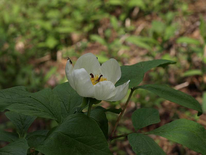 P6069714