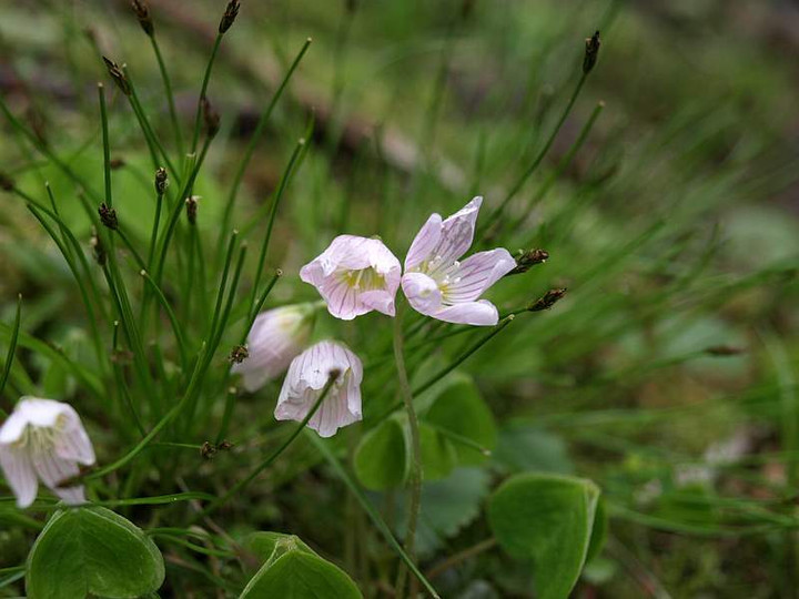 P6069836