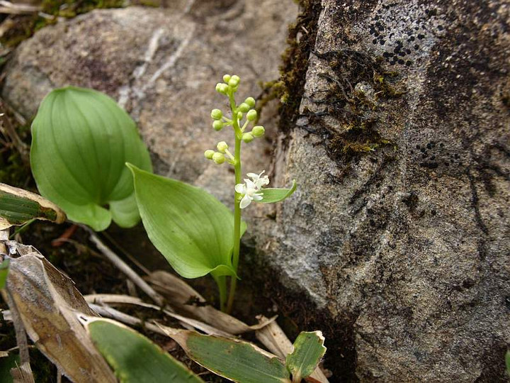 P6069917