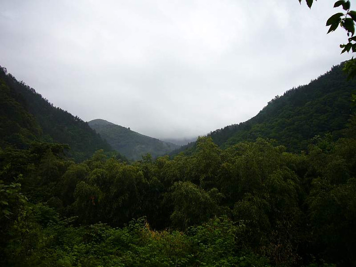 P1000674