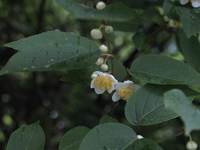 P6150969
