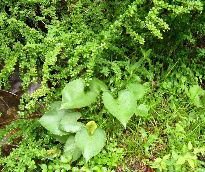 P1000722
