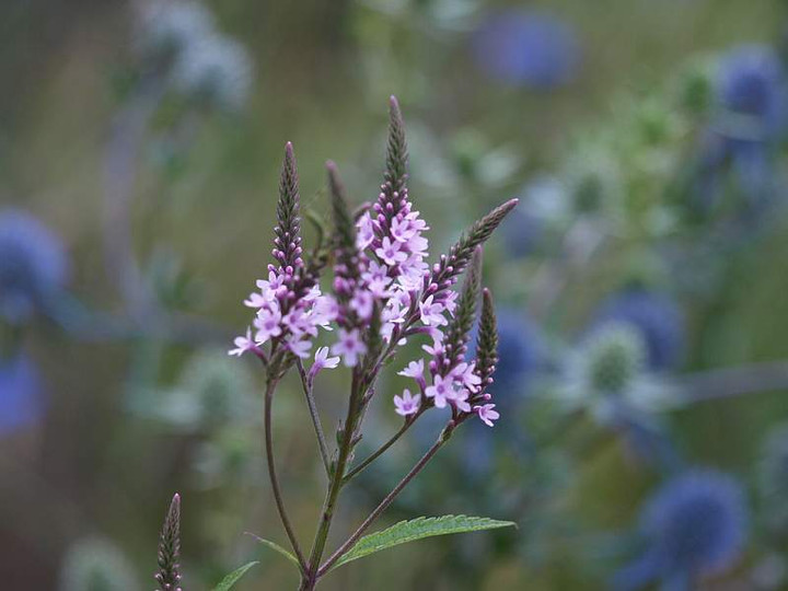 P6120772