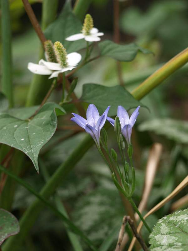 P6140853