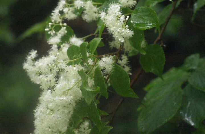 P6151269