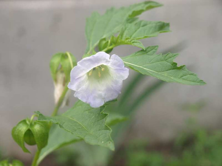 P6221795