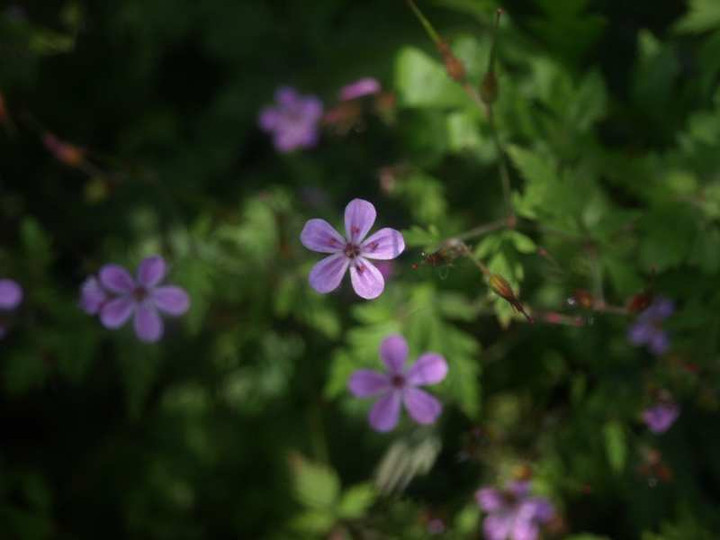 P6171378