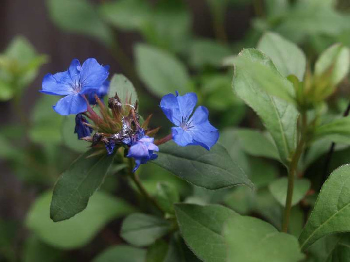 P6231820
