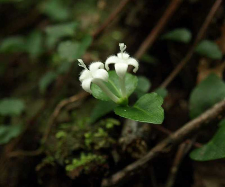 P6100344