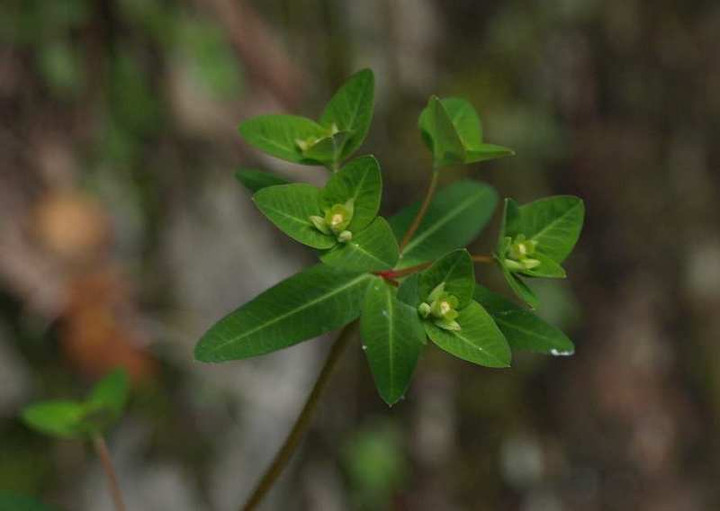 P6100383