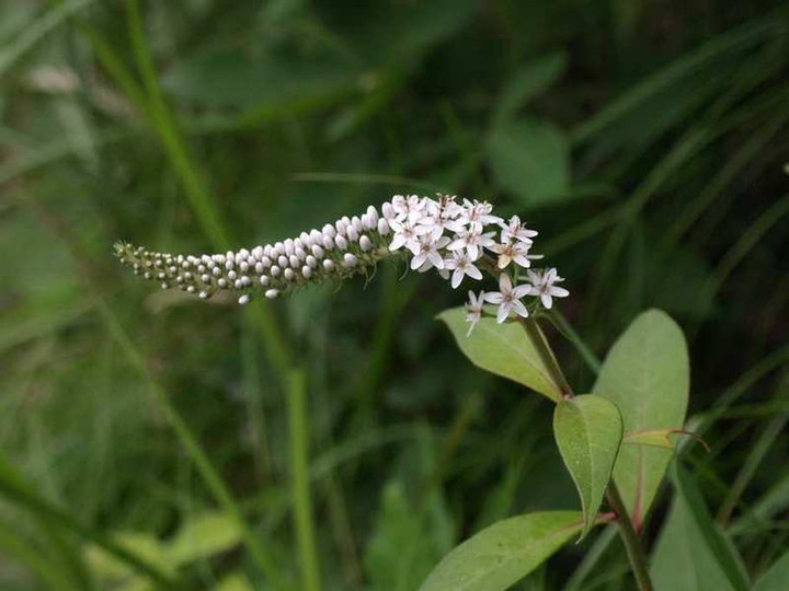 P6100398