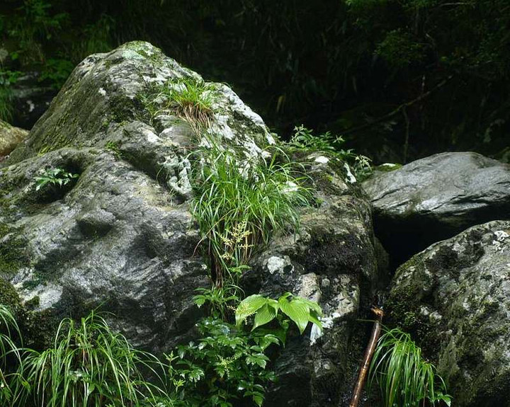 P6272011