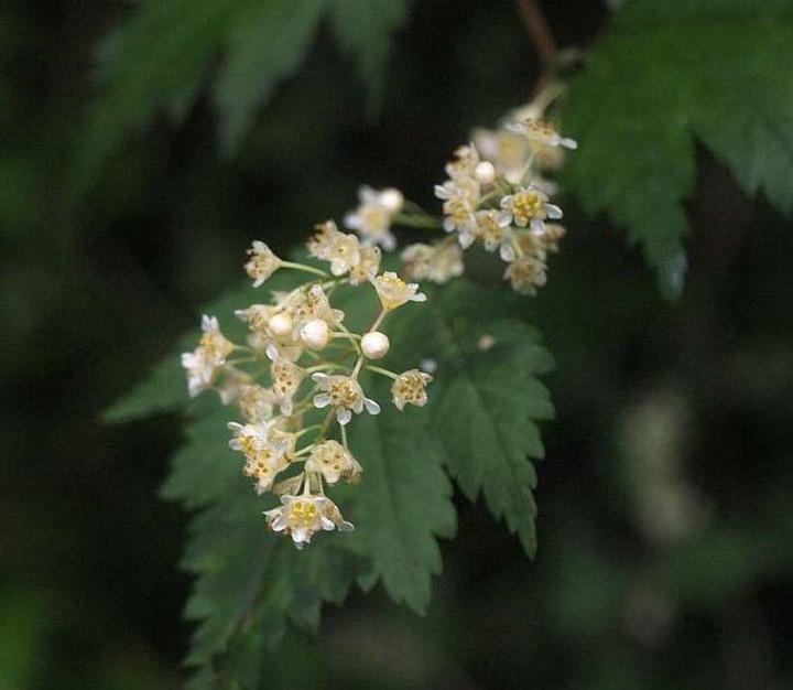 P6272019