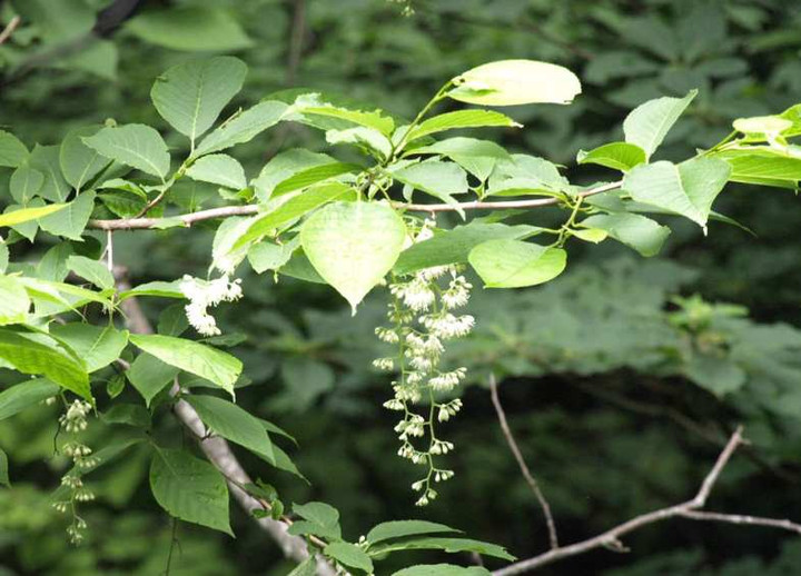 P6272030