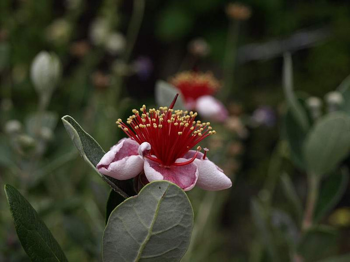 P6070040