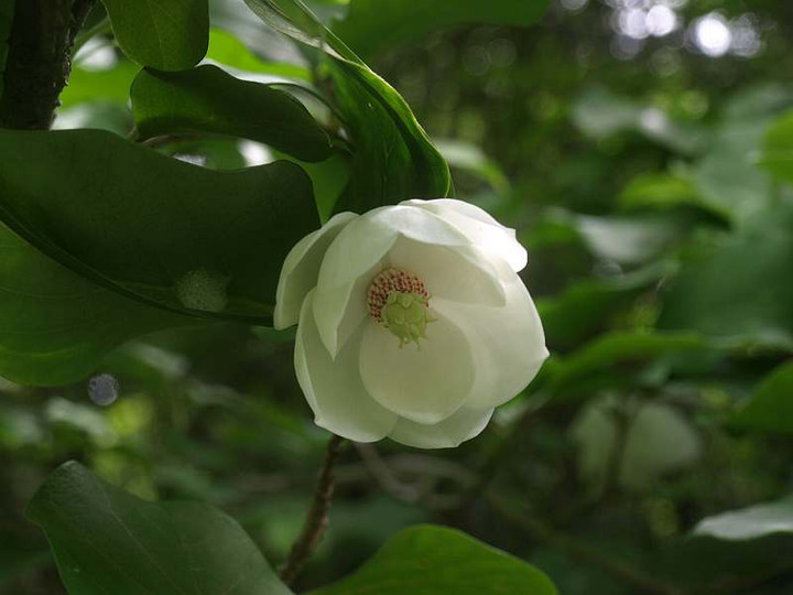 P6272371