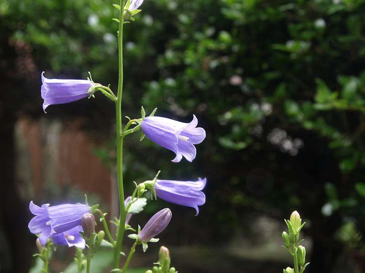 P7033039