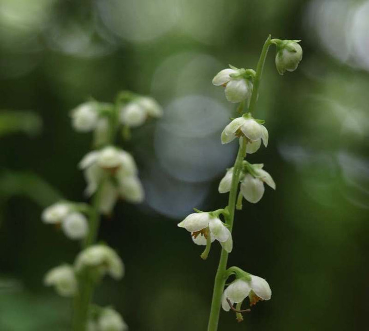 P7012745
