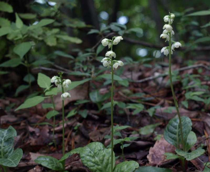 P7012761