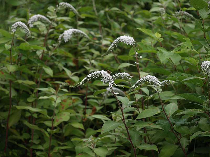 P7012786