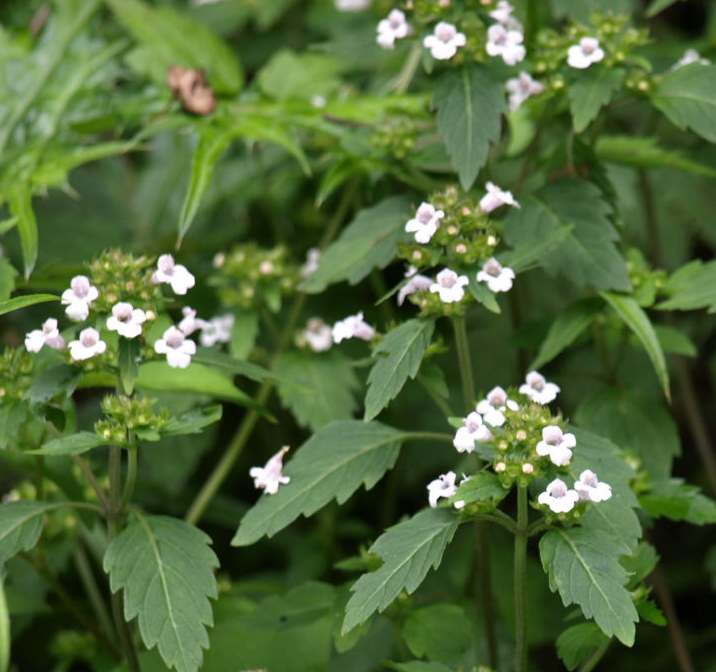 P7012633