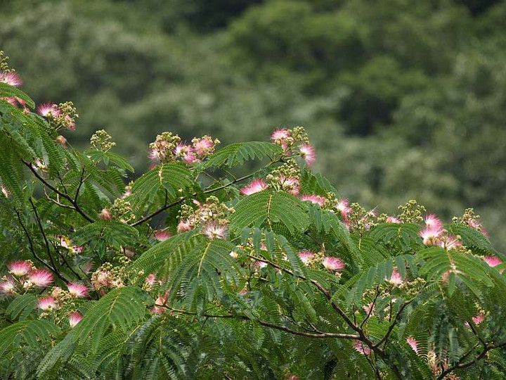 P7012874