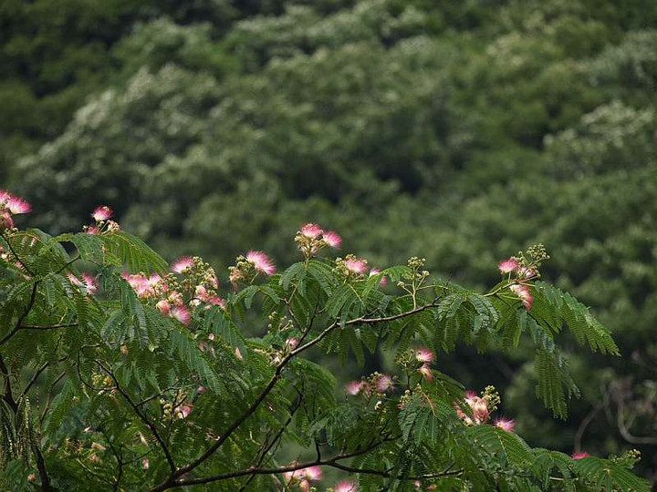 P7012878