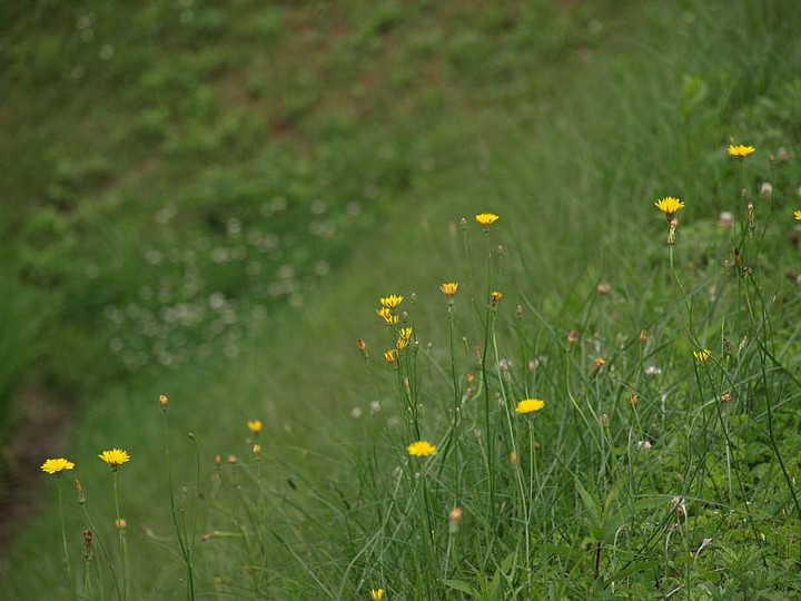 P7012899