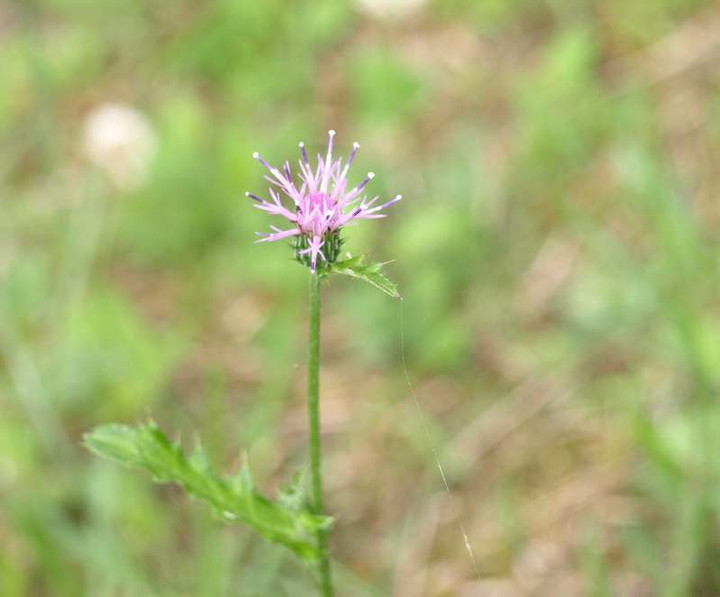 P7012900