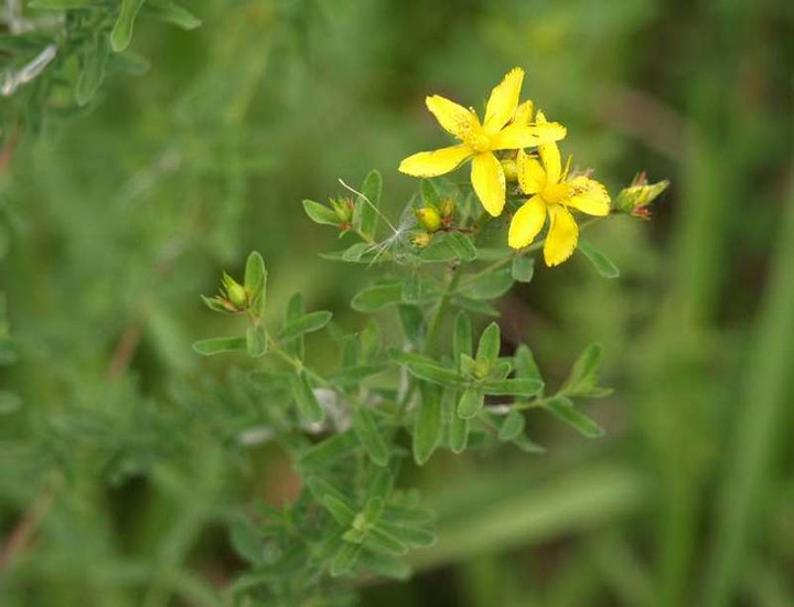 P7012904