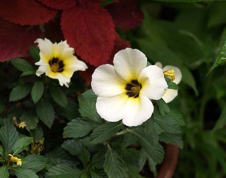 P7022940