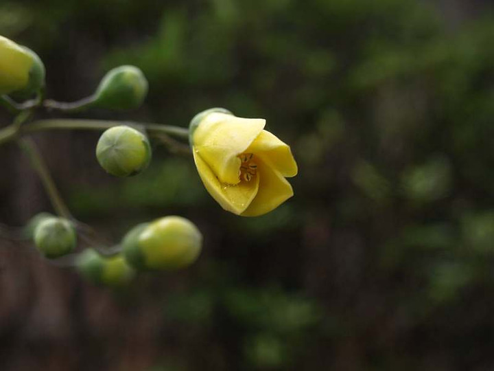 P7033070