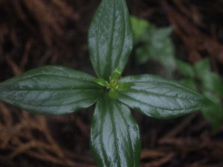 P7053120