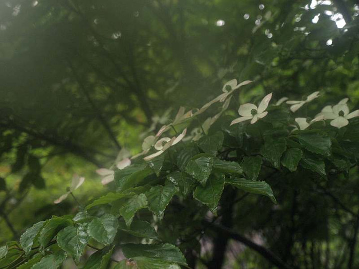 P7053130