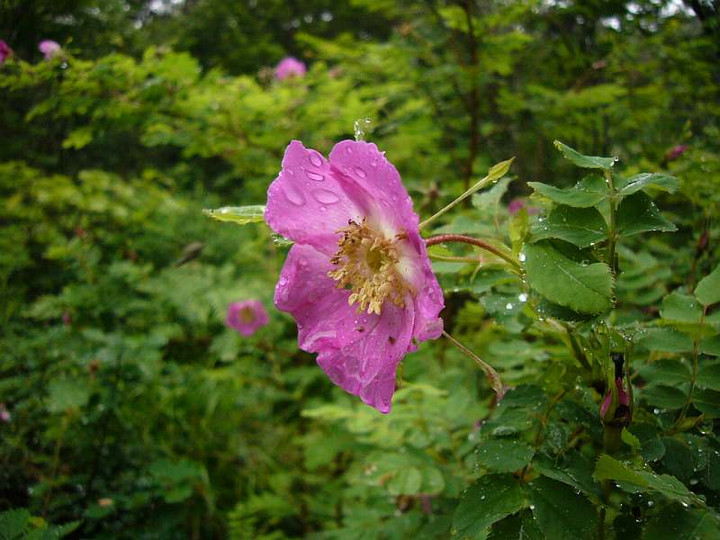 P1000802