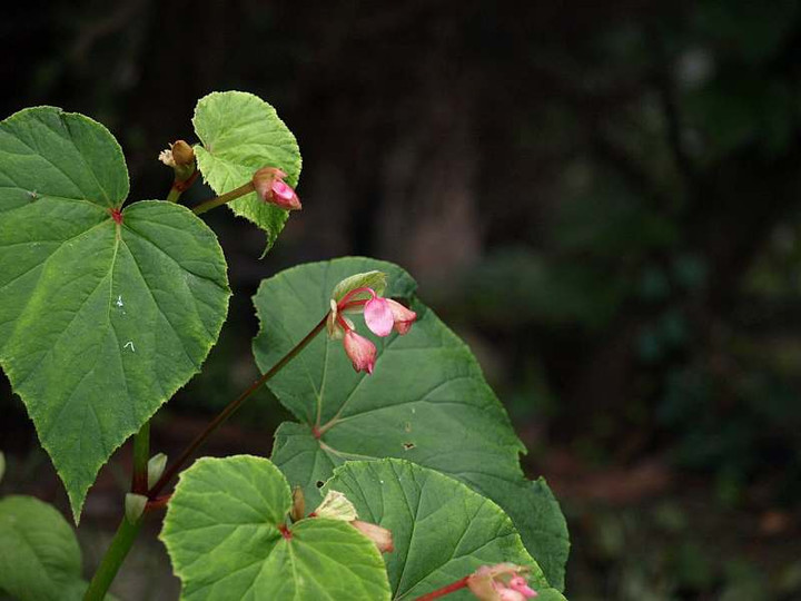 P7012911
